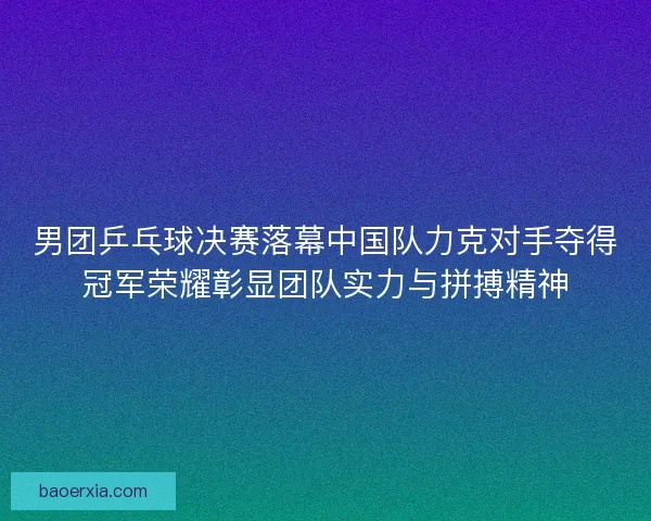 男团乒乓球决赛落幕中国队力克对手夺得冠军荣耀彰显团队实力与拼搏精神